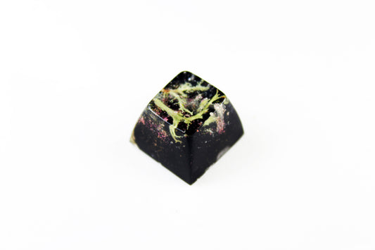 SA Row 2 - Deep Field - Lichen 1