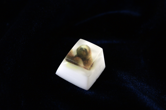 Chaos Caps 1 - Sloth - PrimeCaps Keycap - Blank and Sculpted Artisan Keycaps for cherry MX mechanical keyboards 