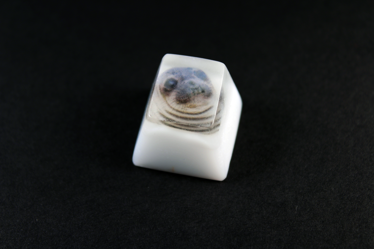 Chaos Caps 1.1 - Awkward Seal - PrimeCaps Keycap - Blank and Sculpted Artisan Keycaps for cherry MX mechanical keyboards 