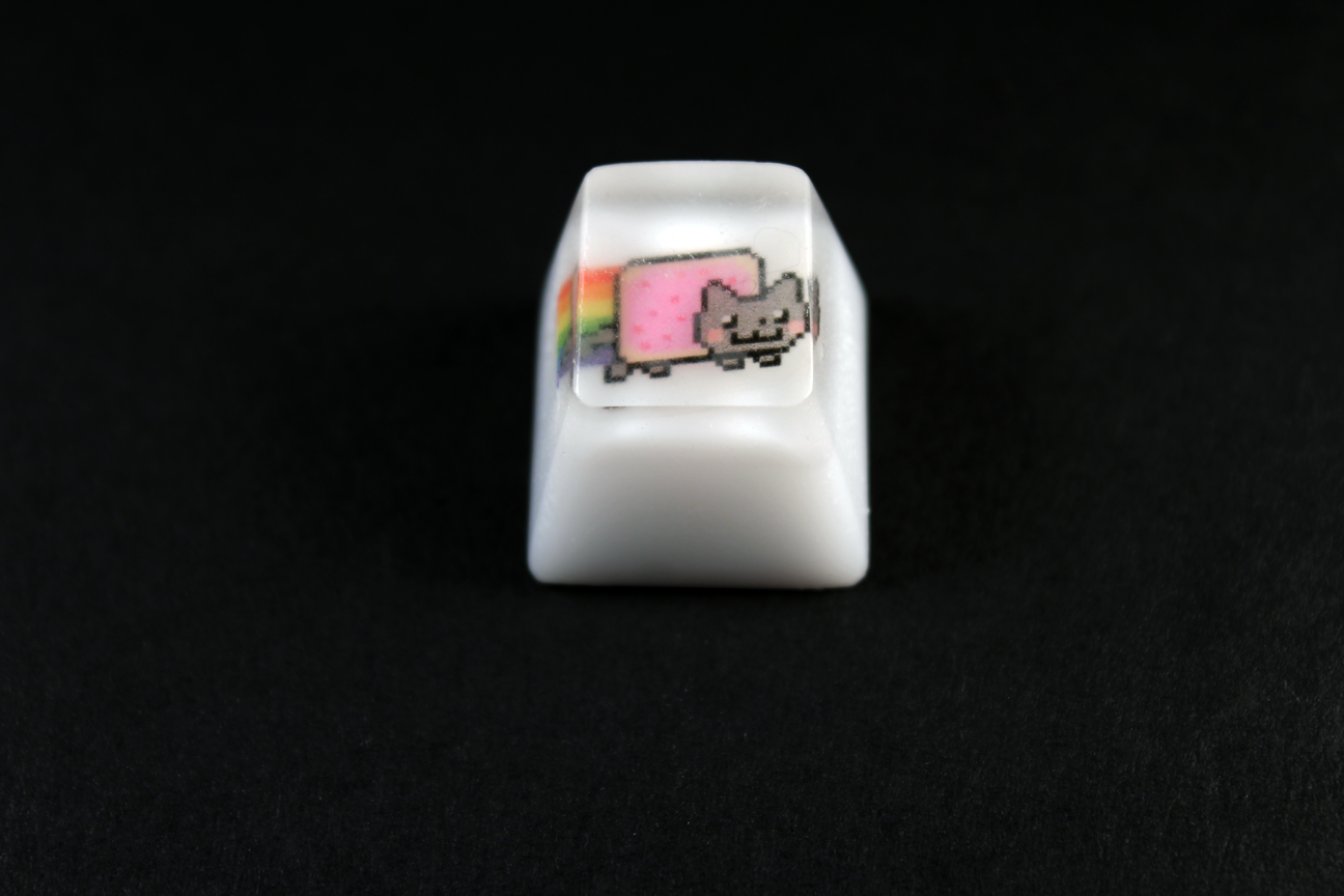 Chaos Caps 1.1 - Nyan Cat - PrimeCaps Keycap - Blank and Sculpted Artisan Keycaps for cherry MX mechanical keyboards 